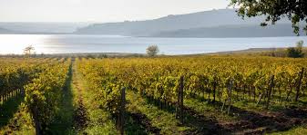 Il Vino in Umbria - Quattrocalici - Le Regioni del Vino