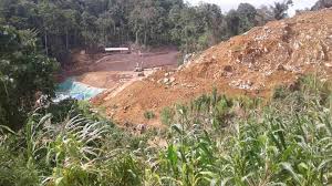 Tinungki Bantah Lakukan Pembiaran Peti Di Sulut Lingkungan Hidup Pemburu