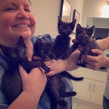 Profile for Tom Cano