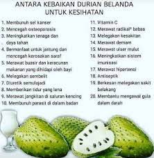 Durian belanda merupakan antara buah buahan yang dikatakan mampu mengubati kanser. Jus Durian Belanda Blunk Do S Koperasi Bimbingan Insan Pahang Berhad Kobi