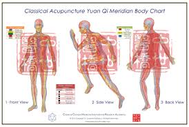 Classical Acupuncture Yuan Qi Body Charts Trio Series Large 102 X68cm