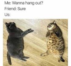 Pin By Rory Delenn On Funny Funny Relatable Memes Cat Memes Clean Funny Cat Memes