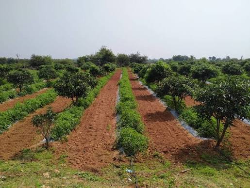تأثیر گردشگری بر قیمت زمین-3