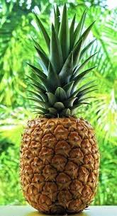 Pin On Wallpaper Iphone Hight Quality