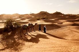 Welcome to reddit, the front page of the internet. 47 000 Arabs Pictures