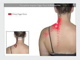 Pin On Llw Massage Bodywork