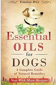 Essential Oils For Hot Spots In Dogs Paws Right Here In 2020 Essential Oils Dogs Oils For Dogs Coconut Oil For Dogs