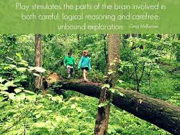 Pin By Emily Bachofner On Ece Inspiration Early Childhood Quotes Play Quotes Outdoor Learning Activities
