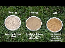 Price $650 per metric ton. 5 Reasons Why Corn Gluten Meal Didn T Work Organic Weed Control Using Corn Meal Youtube