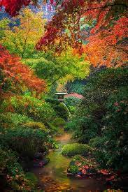 Paths wind past an authentic tea house and through eight separate garden styles, from a zen garden to a beautiful pool fed by a waterfall. Autumn Serenity In Portland Japanese Gardens Portland Japanese Garden Japanese Garden Landscape