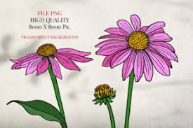 Maybe you would like to learn more about one of these? Bundles 50 States Flower Of America Grafik Von Hanatist Studio Creative Fabrica