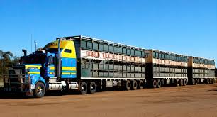 Mia tang has a lot of secrets.number 1: Road Train Wikipedia