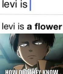 Levi Is A Flower Anime Jokes Anime Attack On Titan Meme