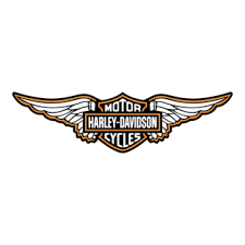 Image result for harley davidson wing