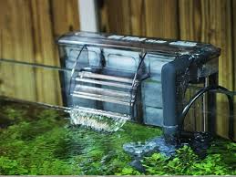 Aquarium bulat mini aquarium bulat besar aquarium bulat panjang aquarium bulat harga aquarium bulat kecil aquarium. Rekomendasi Filter Aquarium Ukuran 60cm Murah Ikanesia Id