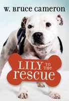 The rescue (紧急救援) is a 2020 chinese action film directed by dante lam. Lily To The Rescue Lily To The Rescue 1 By W Bruce Cameron