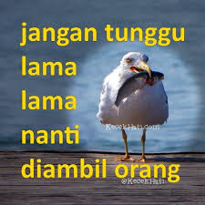 Jangan tunggu lama lama lirik. Kata Kata Bijak Pacar Diambil Orang Kumpulan Kata