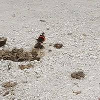 54 fiabilité de la description : F4q4nwrkyu2umm