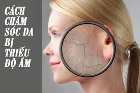 Cách chăm sóc da bị thiếu độ ẩm hiệu quả tại nhà