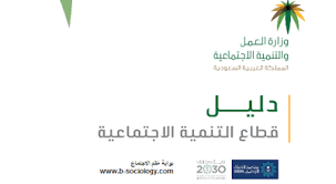 دليل قطاع التنمية الاجتماعية Pdf In 2020 Pie Chart Chart