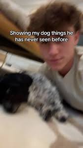 Charles didnt like it #fyp