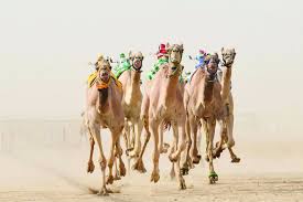 آخر تحديث 10 صفر 1441. Ø§Ù„Ø§ØªØ­Ø§Ø¯ Ø§Ù„Ø³Ø¹ÙˆØ¯ÙŠ Ù„Ù„Ù‡Ø¬Ù† ÙŠØ³ØªØ¹Ø¯ Ù„Ø§Ø·Ù„Ø§Ù‚ Ù…ÙˆØ³Ù… Ø³Ø¨Ø§Ù‚Ø§Øª Ø§Ù„Ù‡Ø¬Ù† ØµØ­ÙŠÙØ© Ø§Ù„Ø§Ù‚ØªØµØ§Ø¯ÙŠØ©