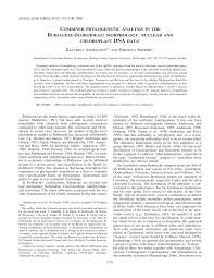 Image result for Pouchetia baumanniana