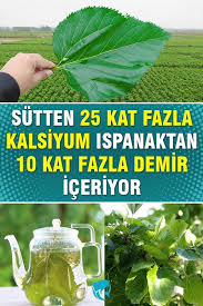 Dogal Ilaclar Panosundaki Pin