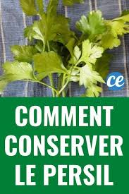 Conservation Du Persil Frais 2 Astuces Pour Le Conserver Facilement En 2020 Persil Conservation Recette Camping