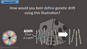 Learn how to set up and solve a genetic problem involving multiple alleles using abo blood types as an example! Amoeba Sisters Unlectured Series Natural Selection And Genetic Drift
