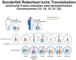 Es sind eine reihe von mechanismen zu unterscheiden: Kv 12 13 Zytogenetik Flashcards Quizlet