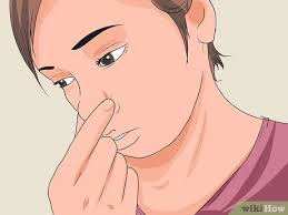 Des vaisseaux sanguins bioartificiels aussi vrais que nature. Comment Arreter Un Saignement De Nez 15 Etapes