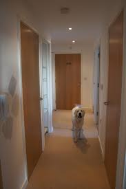 Consider the other colors in your home and its surroundings. What Colour Do I Paint My Internal Doors Apartment Apothecary
