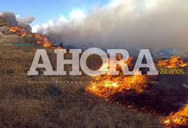 Sentado en una mesa, paticoja y desmembrada, hoy me paro a hacer balance, de una vida pasada. En Huanuco Se Han Registrado 37 Incendios Forestales Diario Ahora