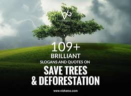 May 25, 2021 · in the case of palm trees, pruning will not make a big difference. 109 Amazing Save Trees Slogans Quotes Arbor Day Vicharoo