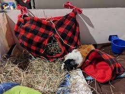 Easy and workable plans for any home. What S The Deal With Cloth Cage Liners For Small Pets Mother Earth News