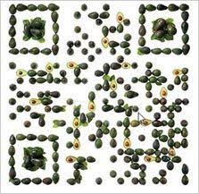 Taco Bell Ads Use Edible Qr Code 07 12 2012 Taco Bell Qr Code Coding