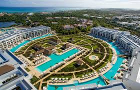 Image result for Melia