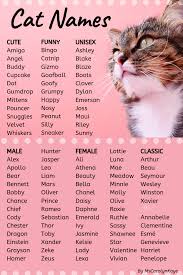 400 Cat Names Ideas For Male And Female Cats Kitten Names Kitten Names Girl Girl Cat Names