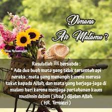 Proses tersebut dikenal dengan istilah heliotropisme. Pin Oleh Dian Renaningsih Di Quotes Hijau Kutipan Hidup Buah Allah