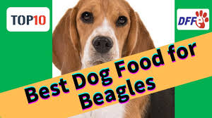 Nevertheless there is a number of the basic principles and recommendations by drawing. Best Dog Food For Beagles Your Guide To The Best Services Unbiased Reviews For Top Best Dog Food Brands