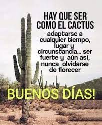 Pin De Tayira Mora Black En Good Morning Buenos Dias Bellos Pensamientos Cactus Pensamientos