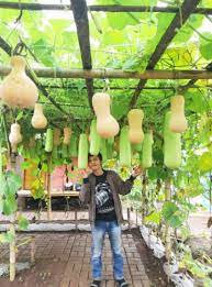 Check spelling or type a new query. Taman Bunga Pandeglang Pelangi Di Daratan Yang Mempesona