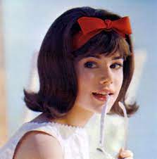 40 S 50 S 60 S Seventeen 1963 1960 Hairstyles Hair Styles 1960s Hair