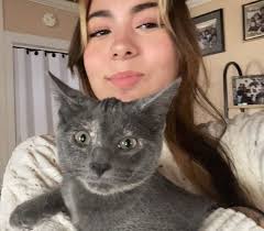 Veterinarians & Team in Niwot, Colorado