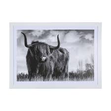Highland Cow Framed Print Kmart Highland Cow Print Highland Cow Boho Bedroom