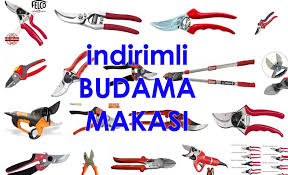 Limon fidanınız saksısını değiştirmeniz 12 ay boyunca yapılabilmektedir.sadece. Budama Hakkinda Hersey Budama Nasil Yapilir Fidan Istanbul Internetten Fidan Ve Fide Siparisi Her Cesit Peyzaj Bitkileri