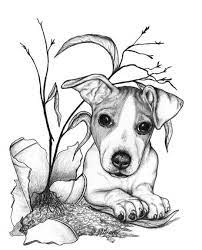 Jack Russell Dog Art Jack Russell Terrier