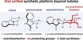 Image result for Corynanthe