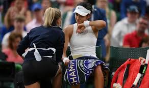 If you pick another kind i will buy it for you. why ice cream? because, ice cream is the quintessential post breakup food. Emma Raducanu S Dad Breaks Silence After Wimbledon Star Withdraws In Worrying Scenes Tennis Sport My Droll